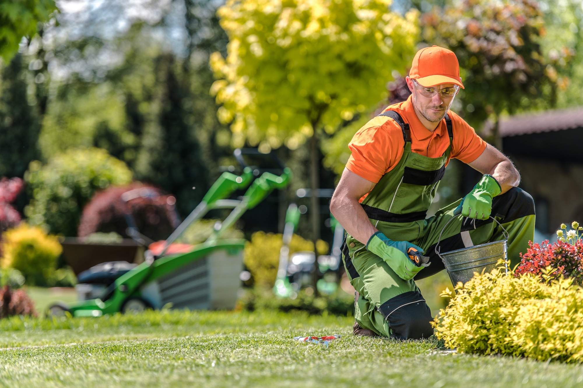 Maintenance of Garden Equipment