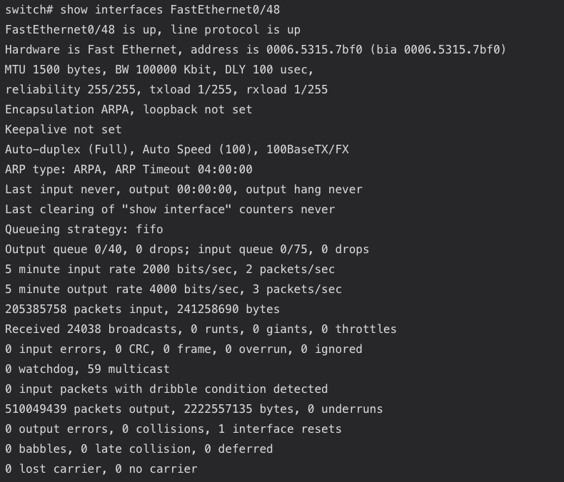 show interfaces command on a Cisco switch.