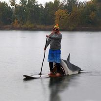 paddling a paddle board