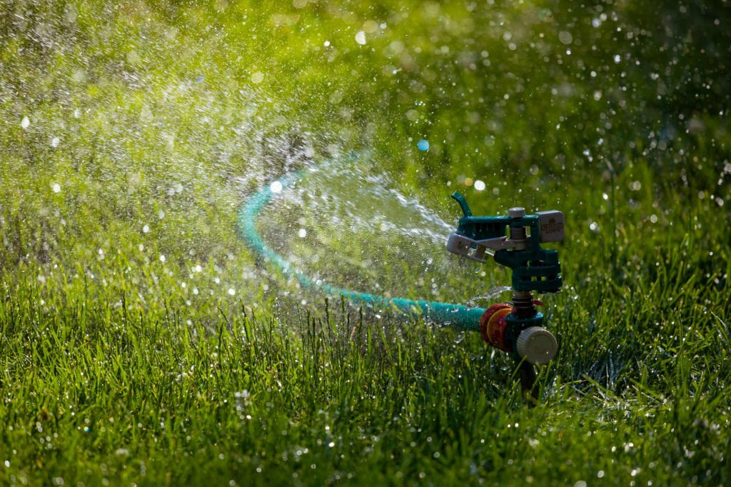 🌱Watering Grass Seed How Frequently Should You Do It?