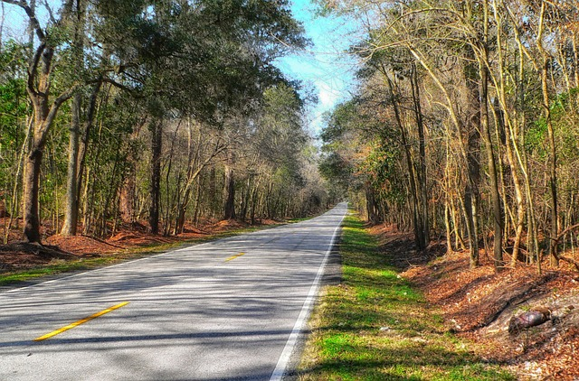 south carolina, landscape, scenic, Hilton Head Island, Myrtle Beach, investment property