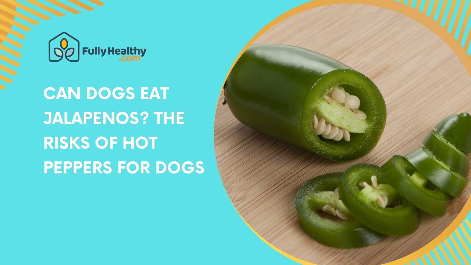 Can Dogs Eat Jalapenos? The Risks of Hot Peppers for Dogs