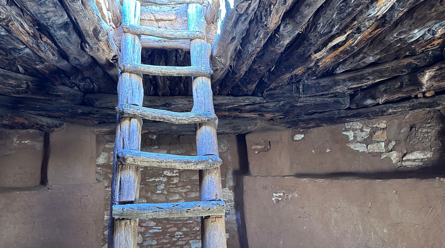 The view from inside the restored great kiva, looking up toward the sky. Photo by Brian Fallstead.