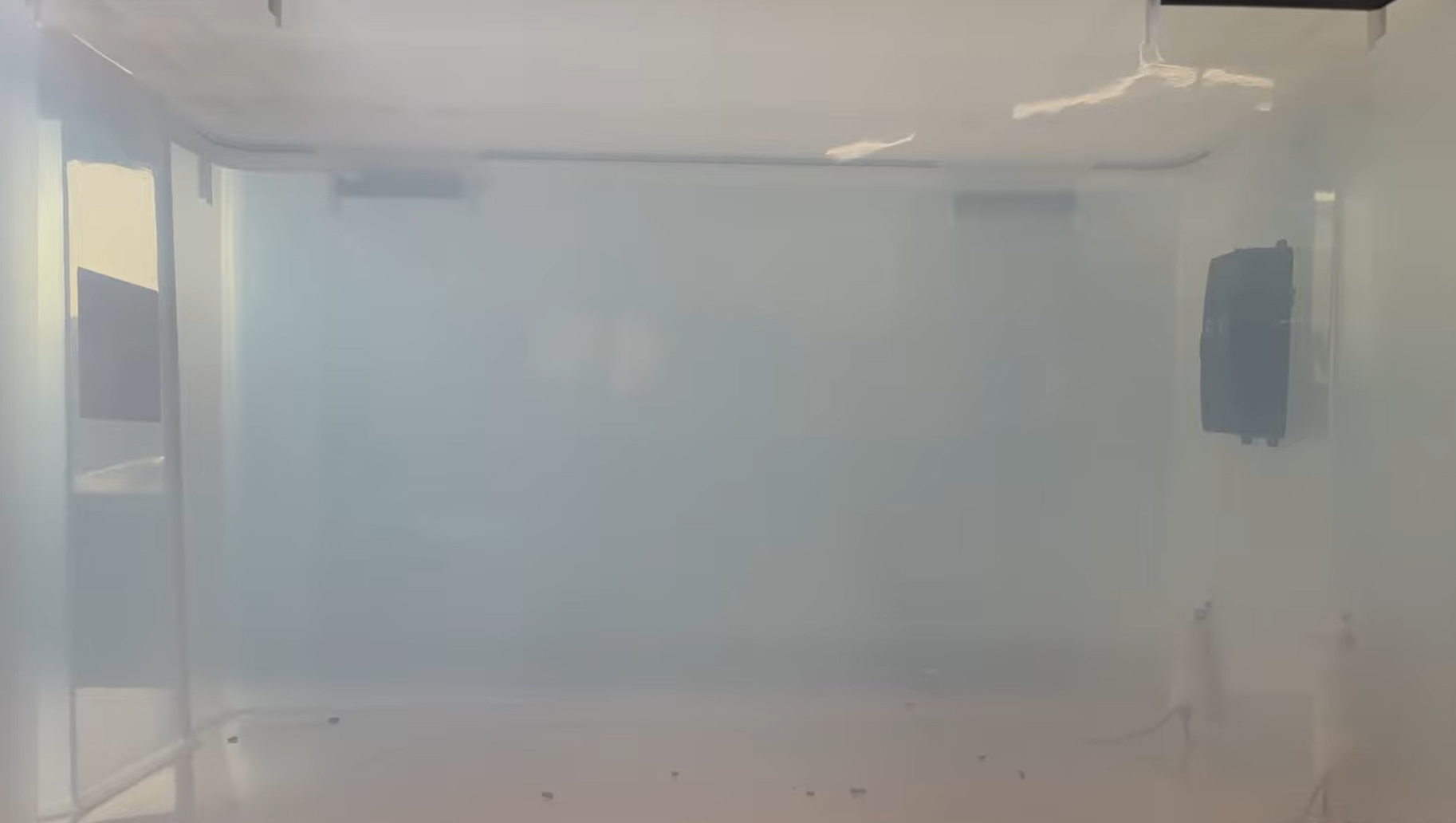 mice going near the Borhood ultrasonic rodent repeller