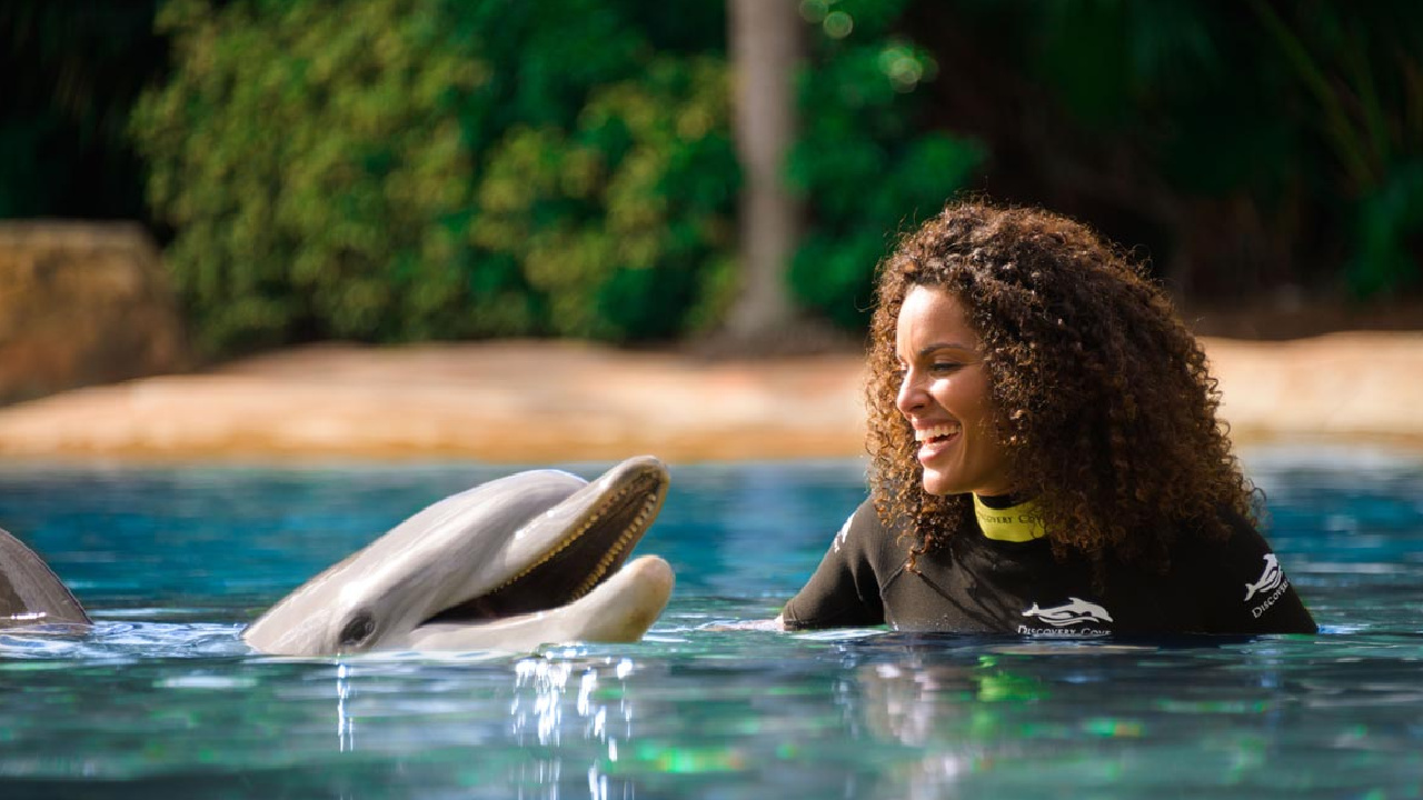visit discovery cove