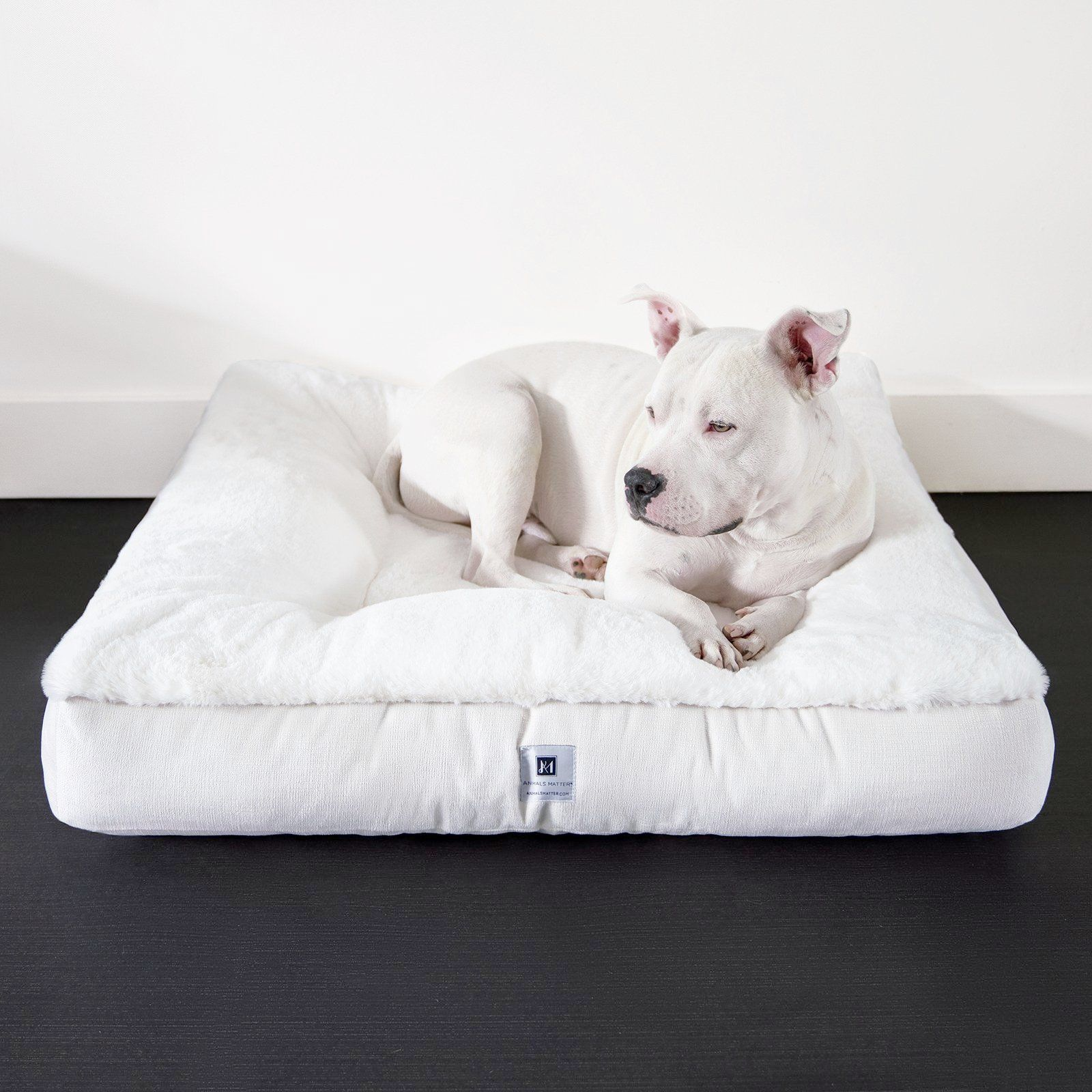 Hudson on the Ruby Square Orthopedic Dog Bed by Animals Matter and a link to purchase.