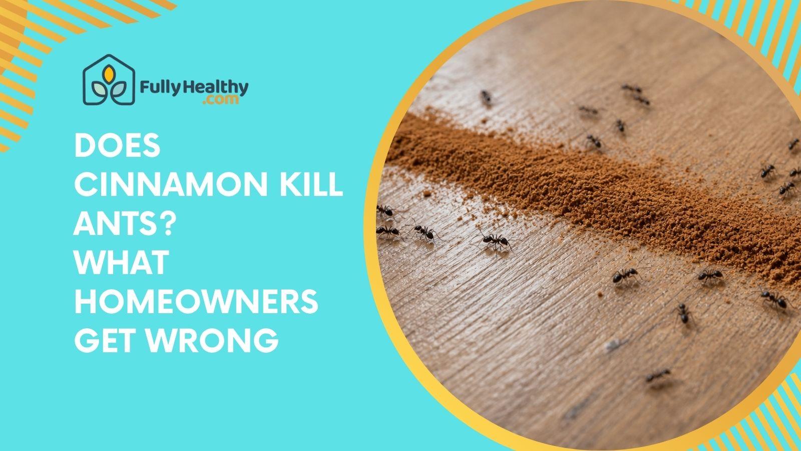 Does Cinnamon Kill Ants? What Homeowners Get Wrong
