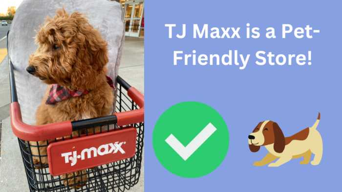 Image of a dog in a TJ Maxx shopping cart on the left side. On the right side a title reads "TJ Maxx is a Pet-Friendly Store!" and a cartoon dog with a green checkmark below. 
