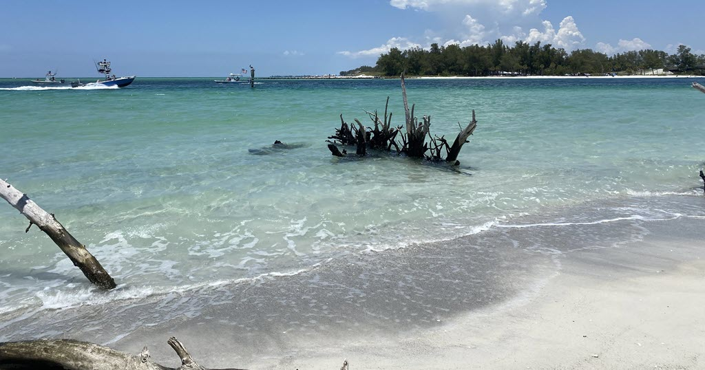 Beer Can Island Beach Longboat Key Florida