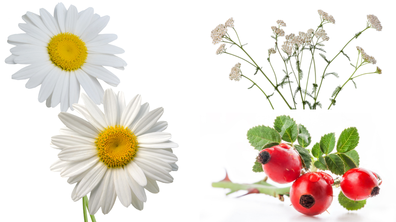 we absolutely love these ingredients