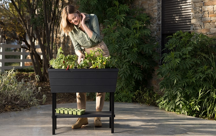 keter urban raised bed