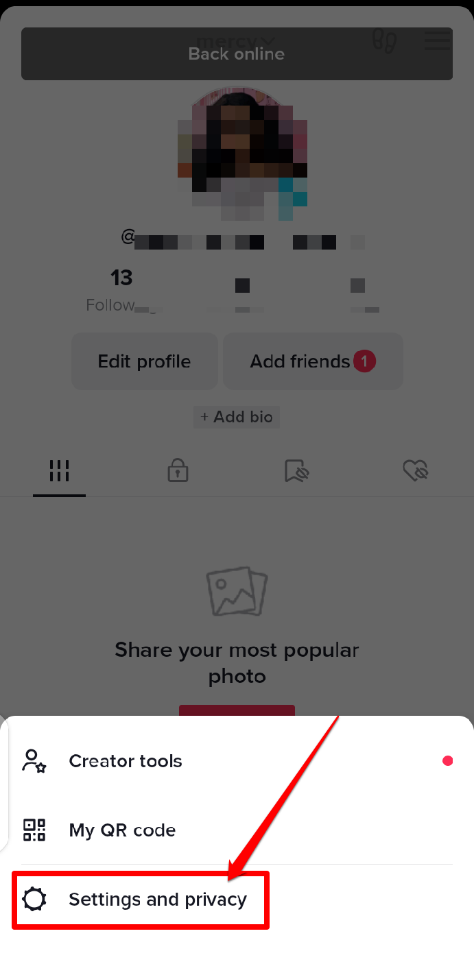 Picture showing the settings and privacy option on TikTok