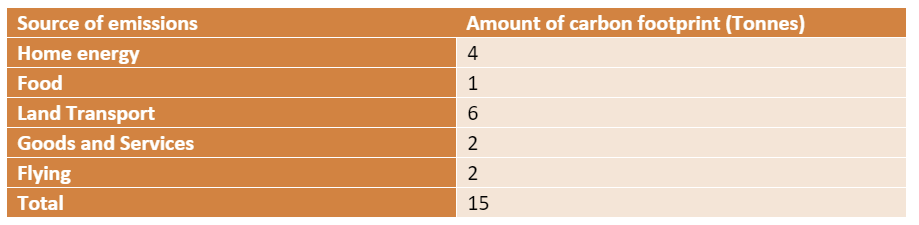 Irish Carbon Footprint