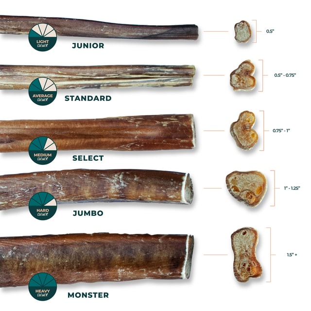 6 Inch Bully Sticks | Odor Free Select Beef Bully Sticks Size Chart