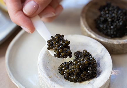 Horn spoon to taste caviar