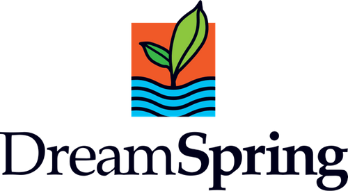 DreamSpring logo, DreamSpring review,
