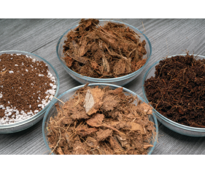 Peat Moss Vs. Coco Coir: Which Is Right For Your Garden?