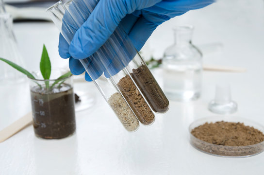 A laboratory technician conducting laboratory soil testing on a soil sample to analyze its nutrient content and composition as part of the science behind soil testing.