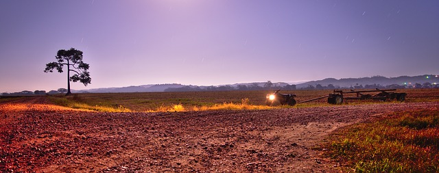 landscape, quad, nature