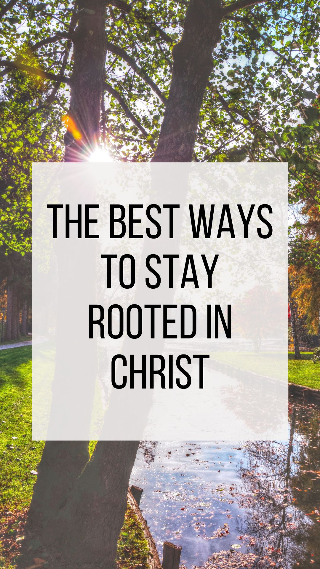 ways to stay rooted in the Lord Jesus Christ to have a healthy Christian life 