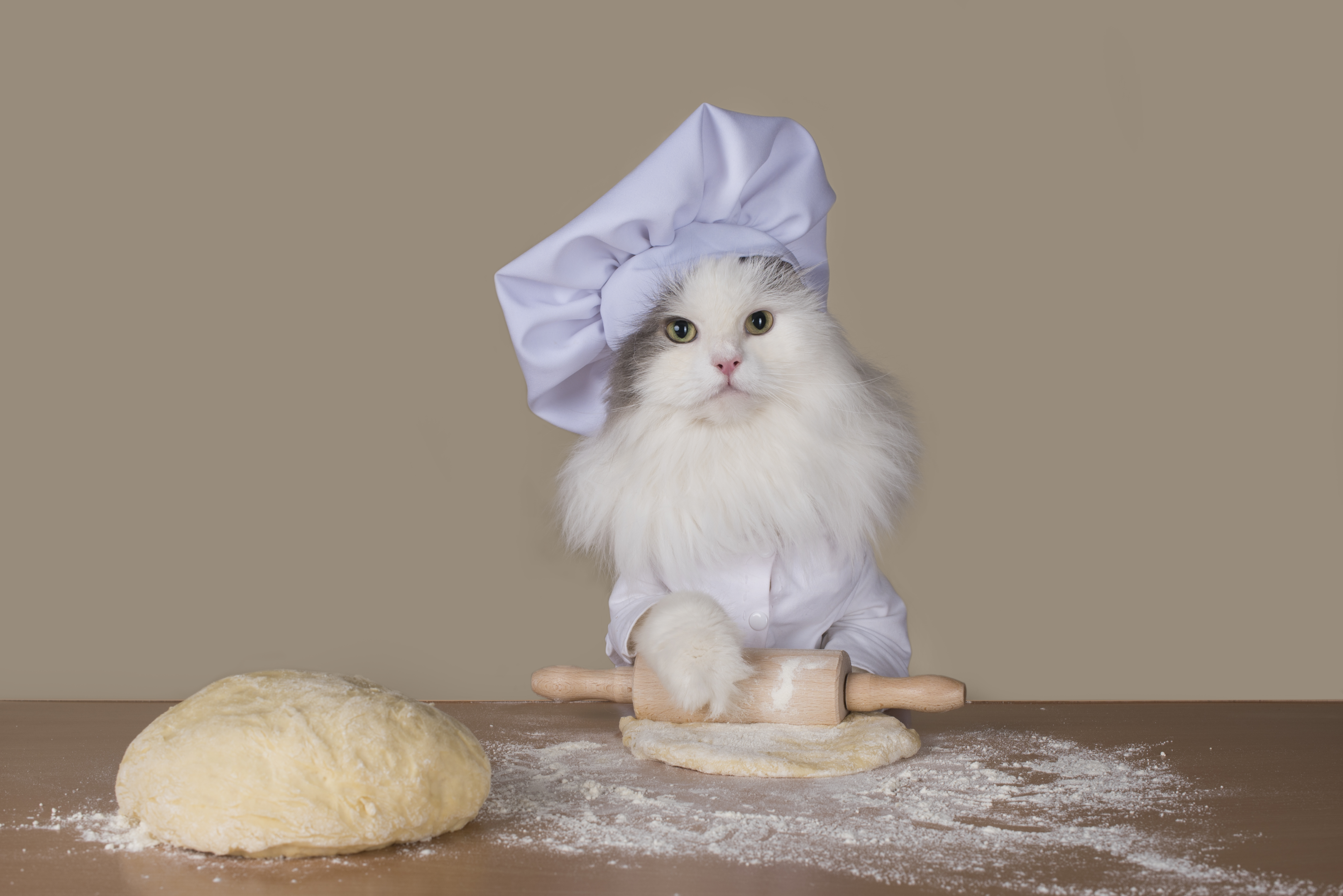 Cat kneading dough with front paws holding a rolling pin and wearing a hat. This cat is literally making biscuits.