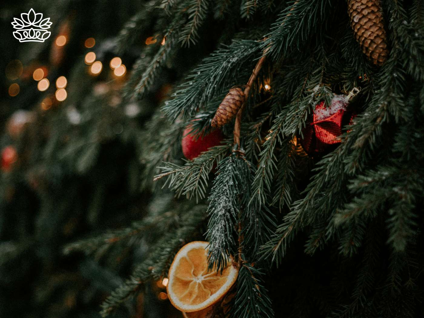 A close-up of a Christmas tree's leaves, with a display of natural color, featuring pine cones, dried orange slices, and richly hued baubles, evoking a country-style palette of colors, from the festive collection at Fabulous Flowers and Gifts.