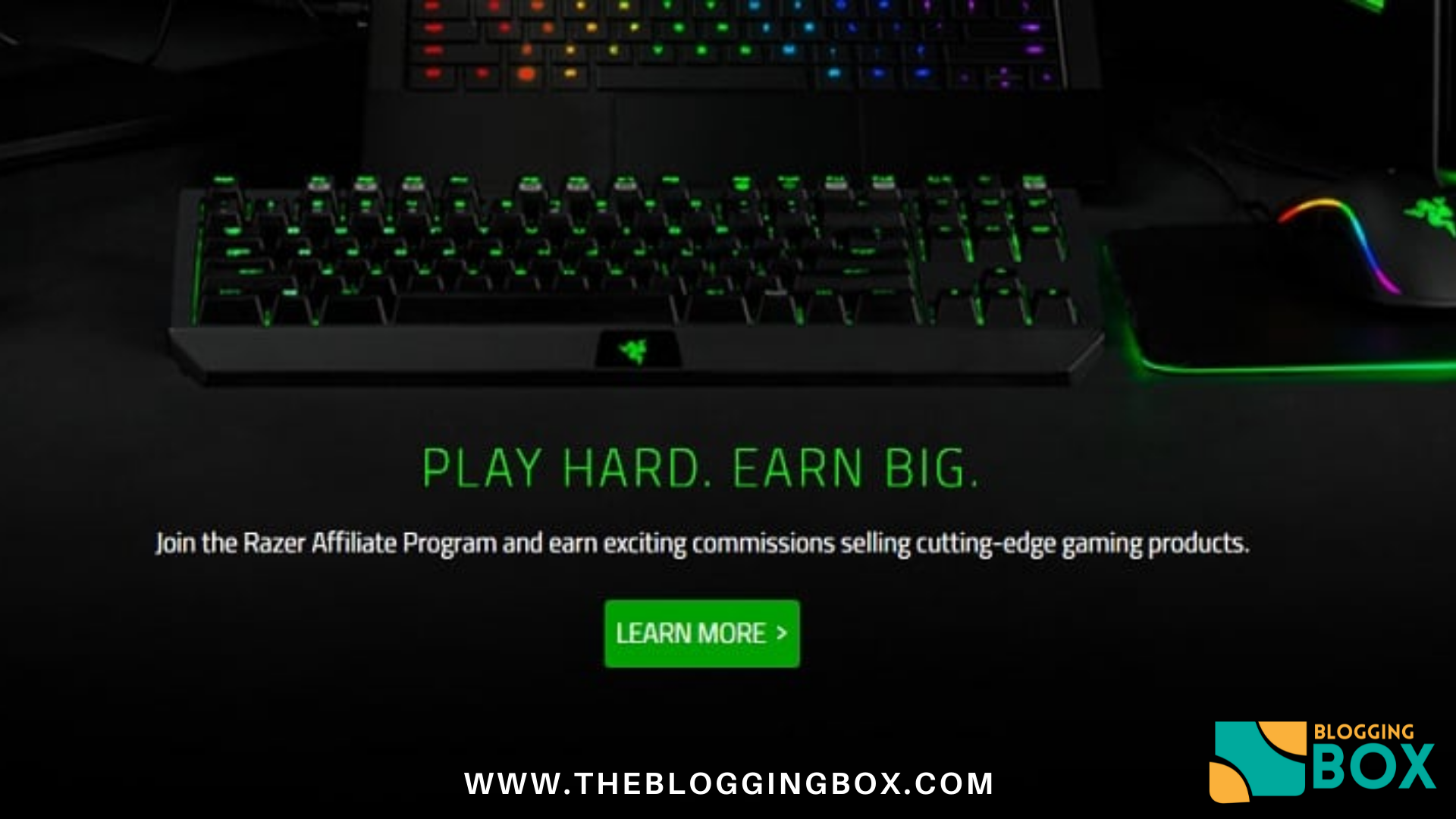 Razer Streamer Program - About Us