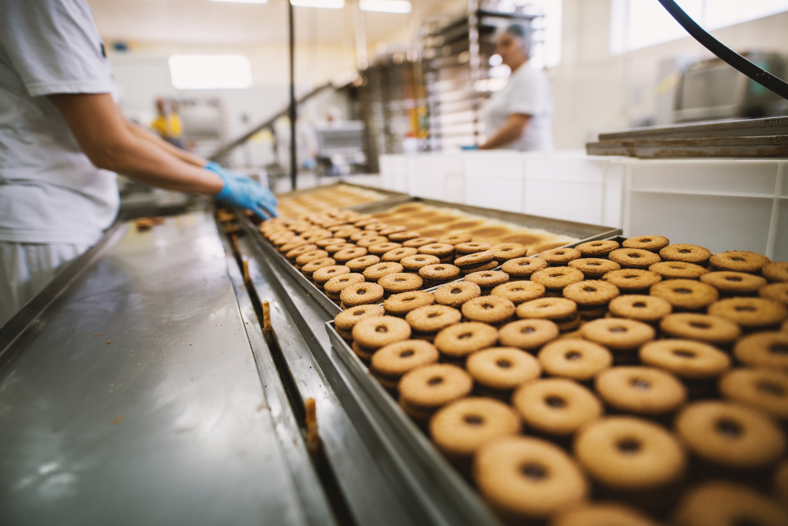 Batch Manufacturing Records in Food Industry