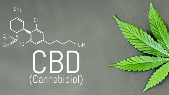 legal cbd industry and what make cbd legal