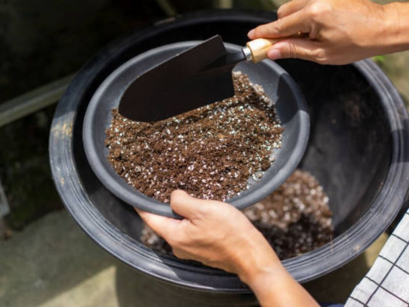 The Science Behind Bonsai Soil Mix