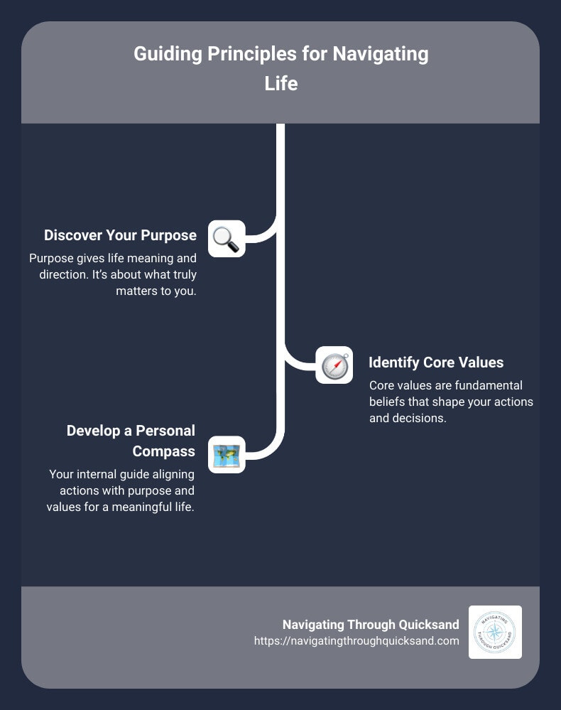 purpose, values, compass infographic - how to steer life infographic infographic-line-3-steps - supporting young people's sense - positive youth development - young people