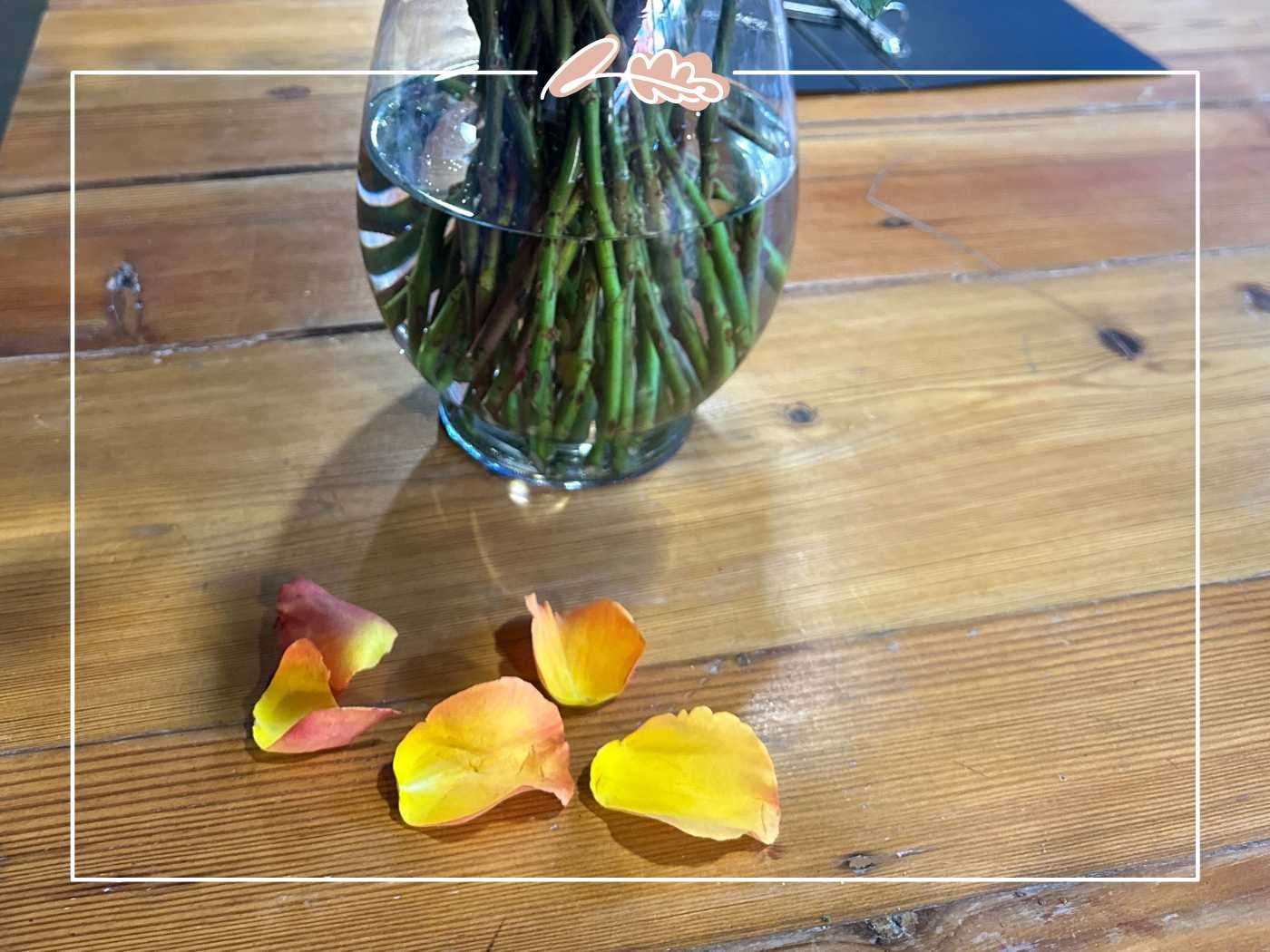 Close-up of a few fallen orange rose petals next to a glass vase filled with water and rose stems - Fabulous Flowers and Gifts