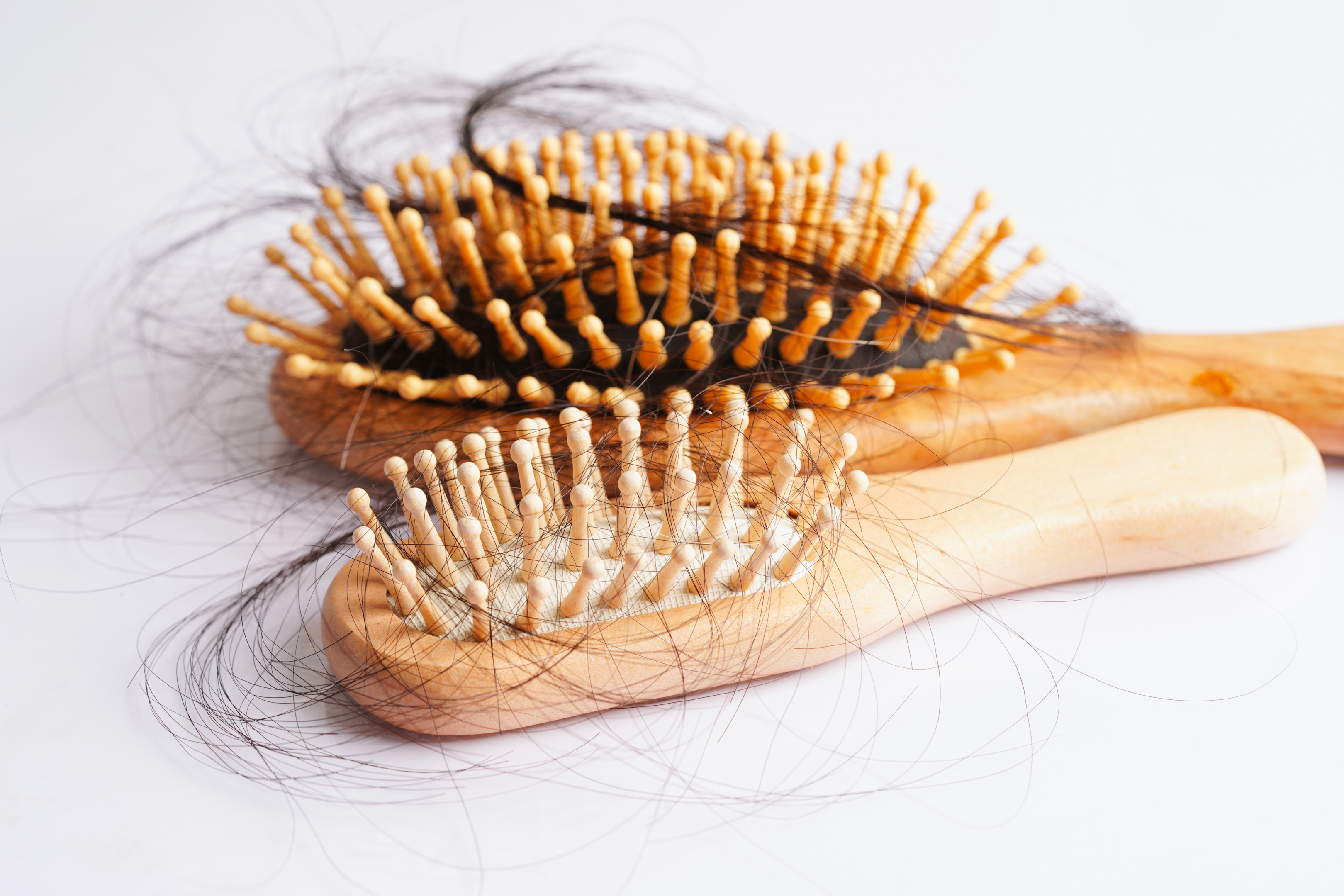  Excessive hair in the comb or brush signifies that you are rapidly losing hair.