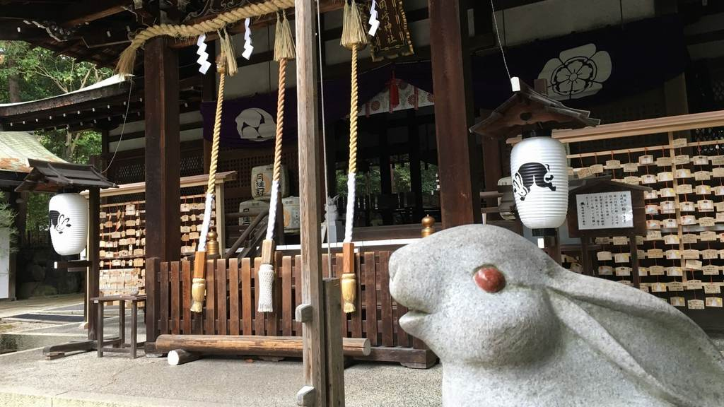 rabbit in Japan