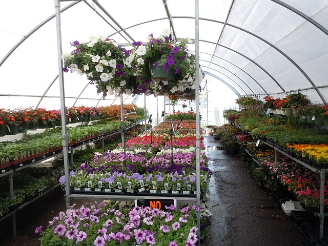 Boulevard Nurseries Right Next to Portsmouth best on the island