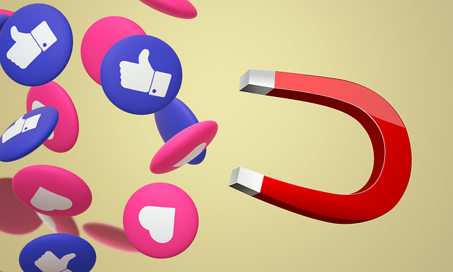 tiktok, social media, social media lead generation