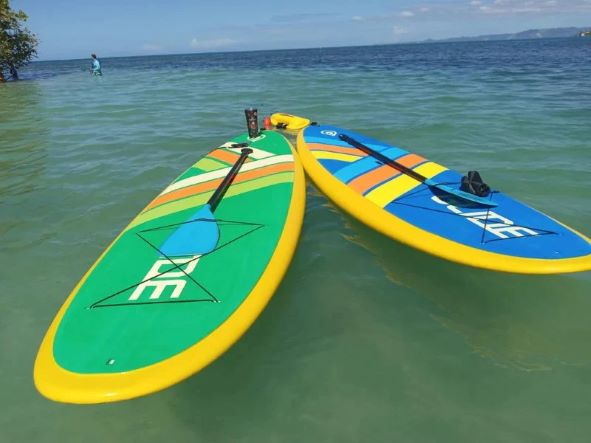 2 paddle boards on the water