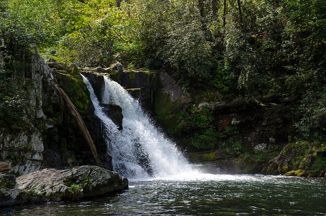 Laurel Falls , Great Smoky National Park