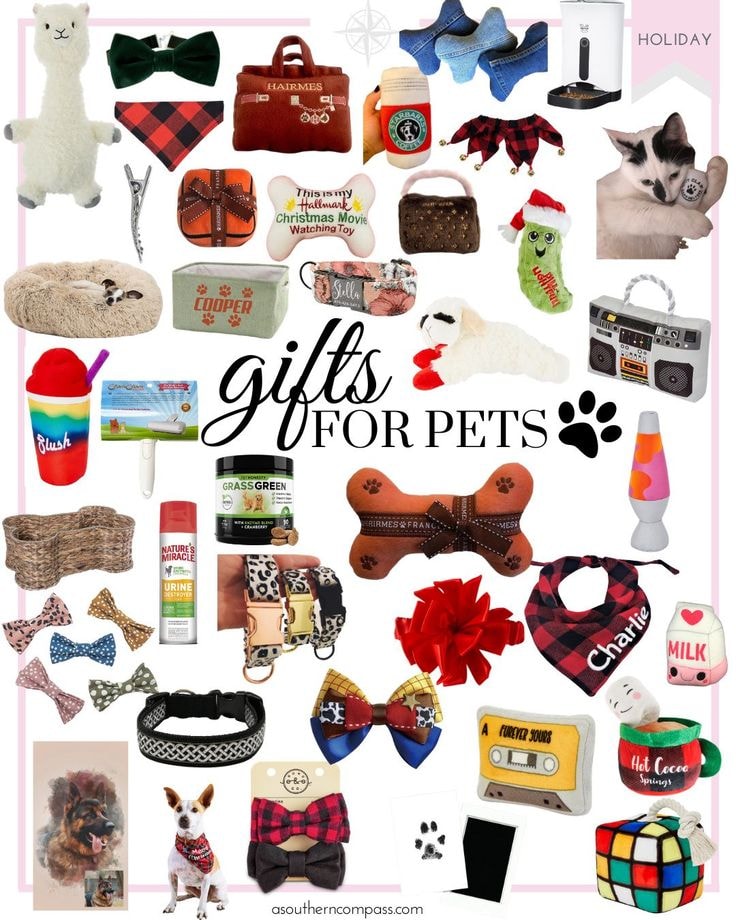 Gifts for pets. Pinterest @asoutherncompass