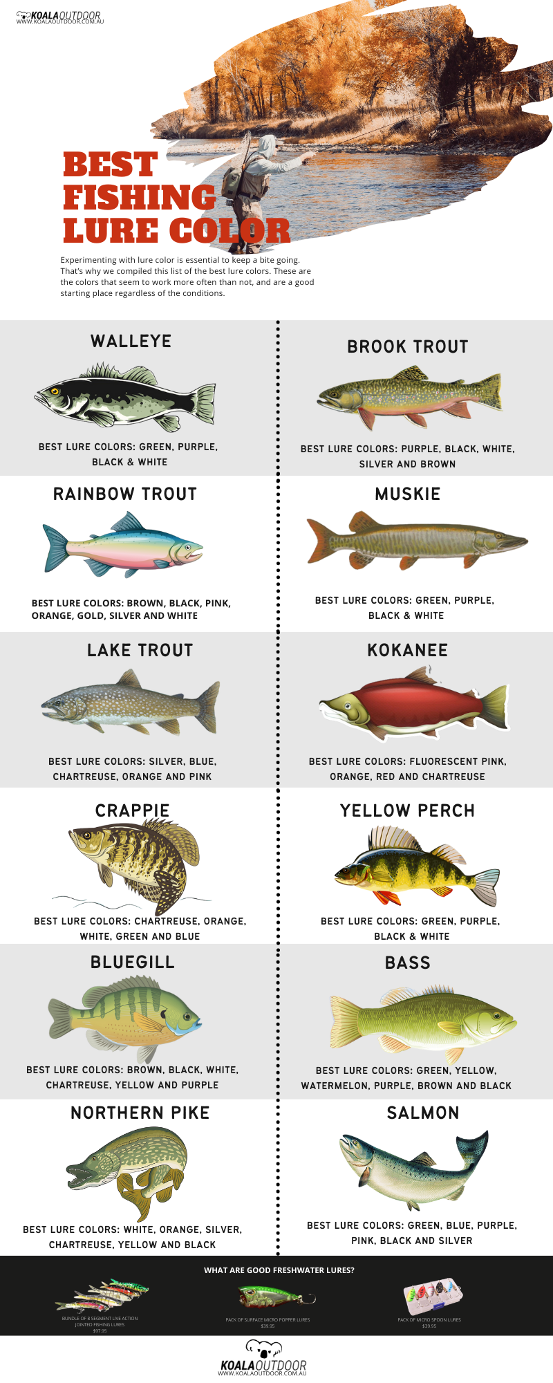 The Types of Lures that Dominate in the Freshwater