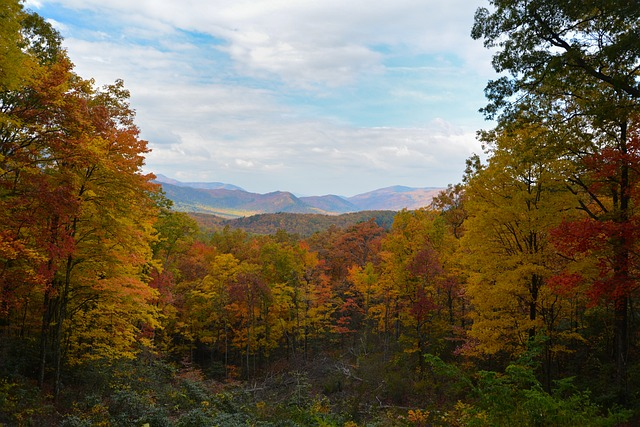 smoky mountain national park, fall, appalachian