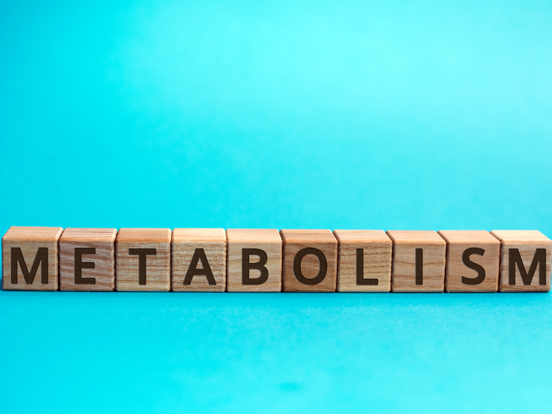 Metabolic Confusion