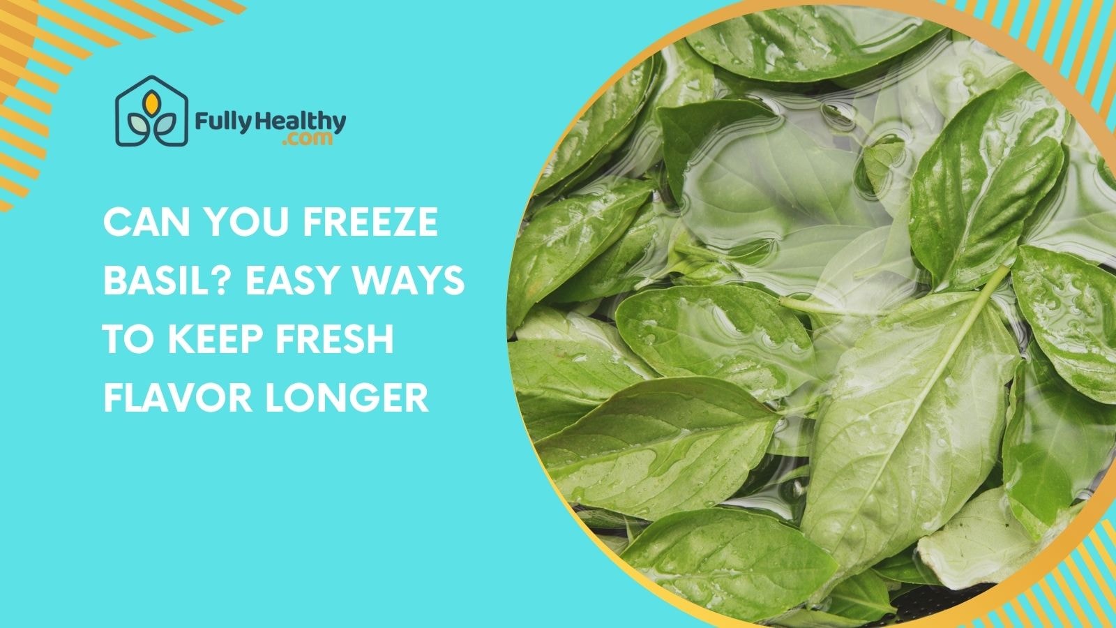 Can You Freeze Basil? Easy Ways to Keep Fresh Flavor Longer