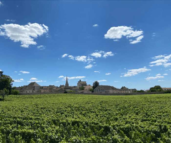 Bourgogne by