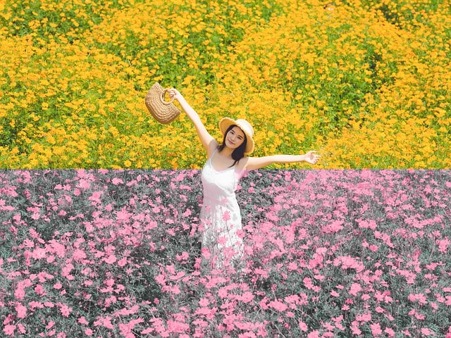 woman, flowers, meadow, flower wallpaper, garden, beautiful, in full bloom, flora, beauty, fashion, beautiful flowers, flower background, outdoors, nature