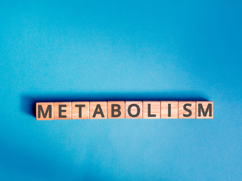 Metabolism