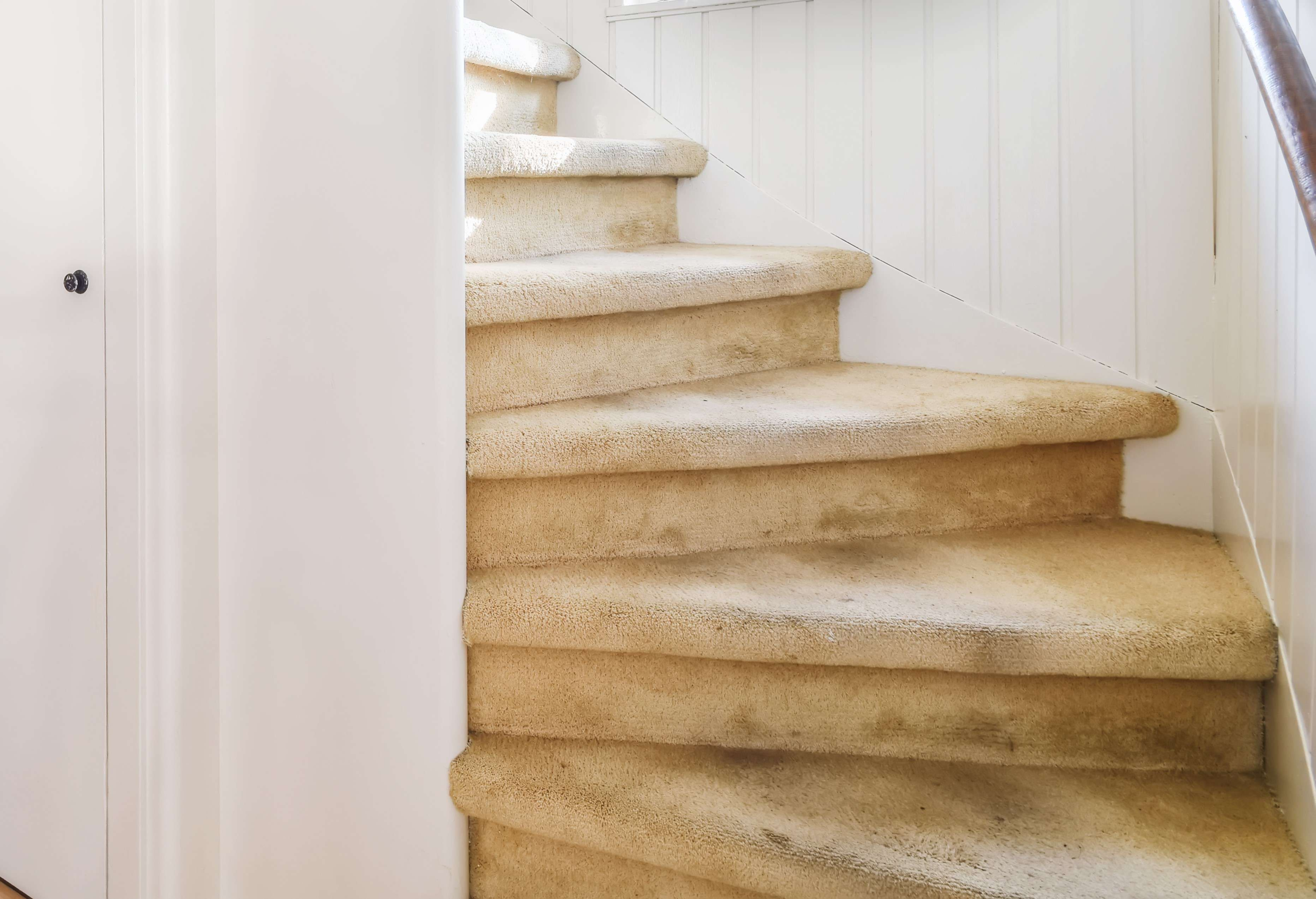 carpet for stairs warranty