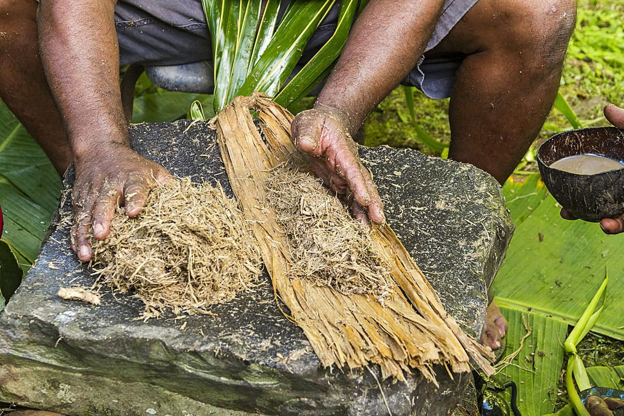 traditional kava brewing in Micronesia