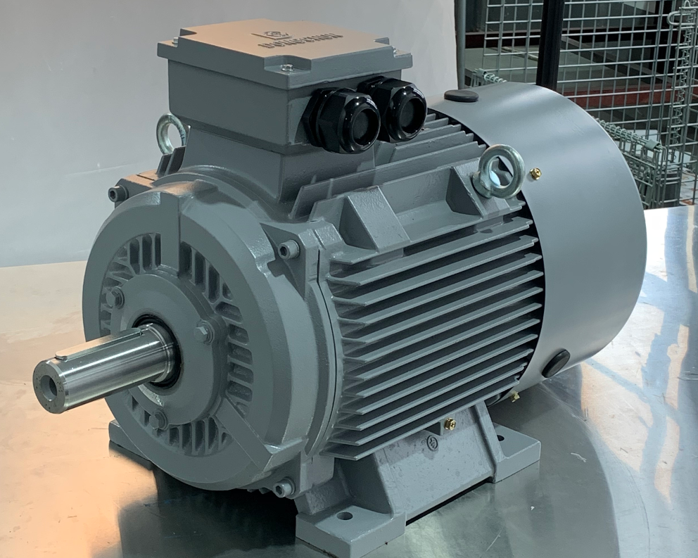 electric motors from Dongchun motor China 