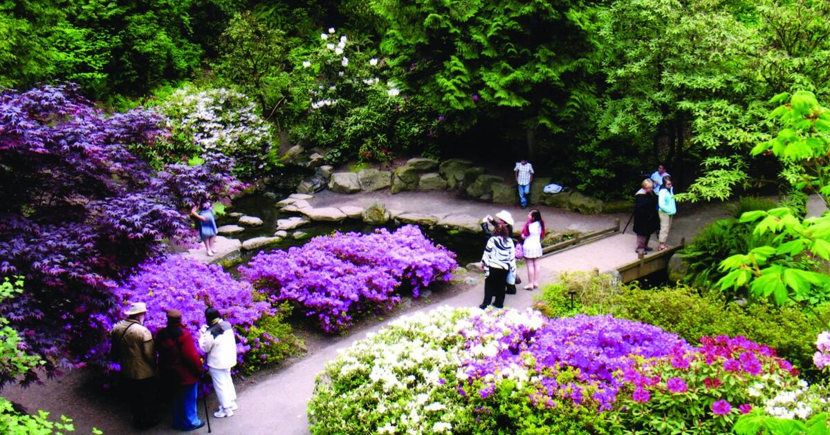 date ideas in portland: The Crystal Springs Rhododendron Garden